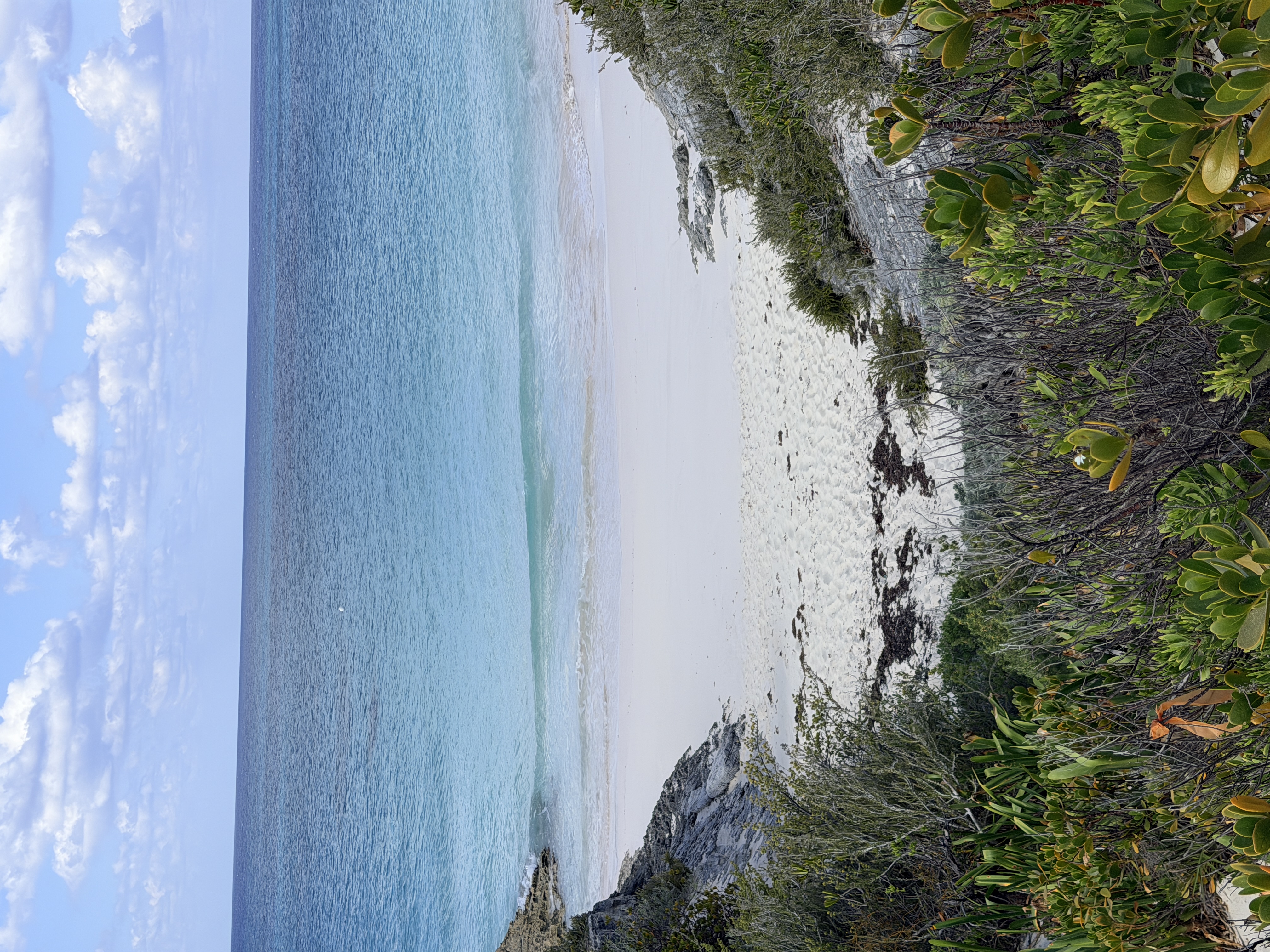 The Disney Battle of the Private Islands